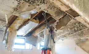  Clintonville, WI Mold Inspection Pros